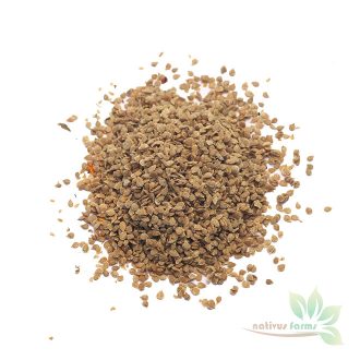 Kumkum_Kesari_Tomato_Seeds_Nativus_Farms_2