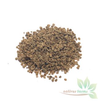 Red_Cherry_Tomato_Seeds_Nativus_Farms_2