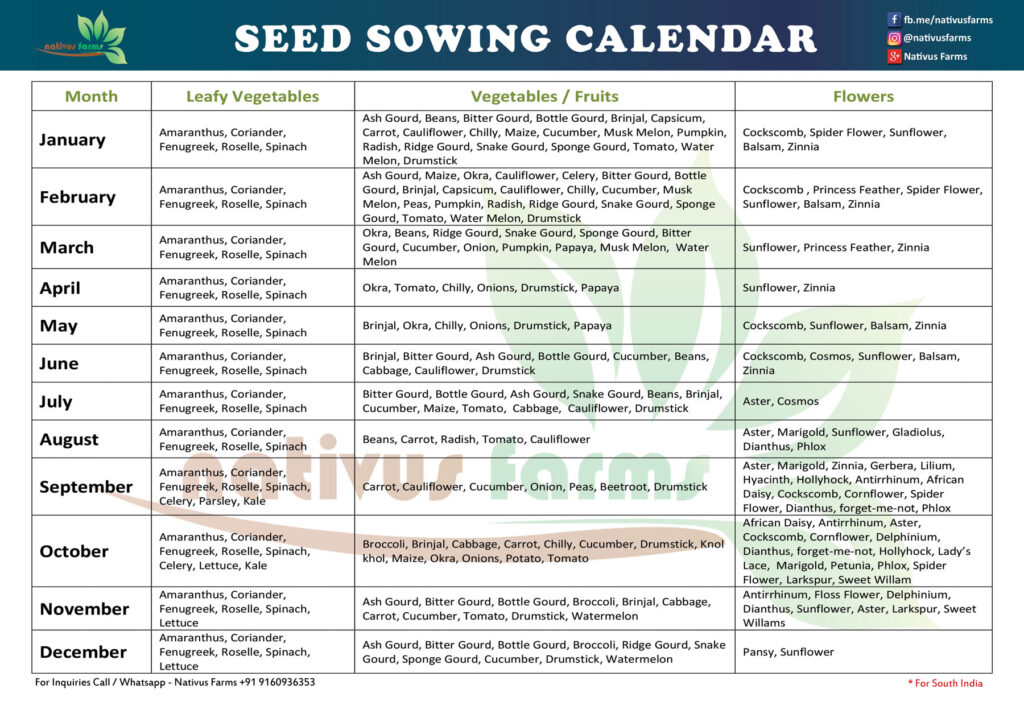 Seed Sowing Calendar For India