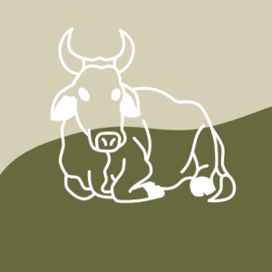 Panchagavya Products