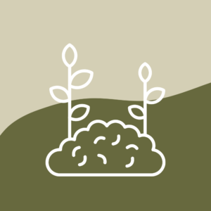 Home Gardening