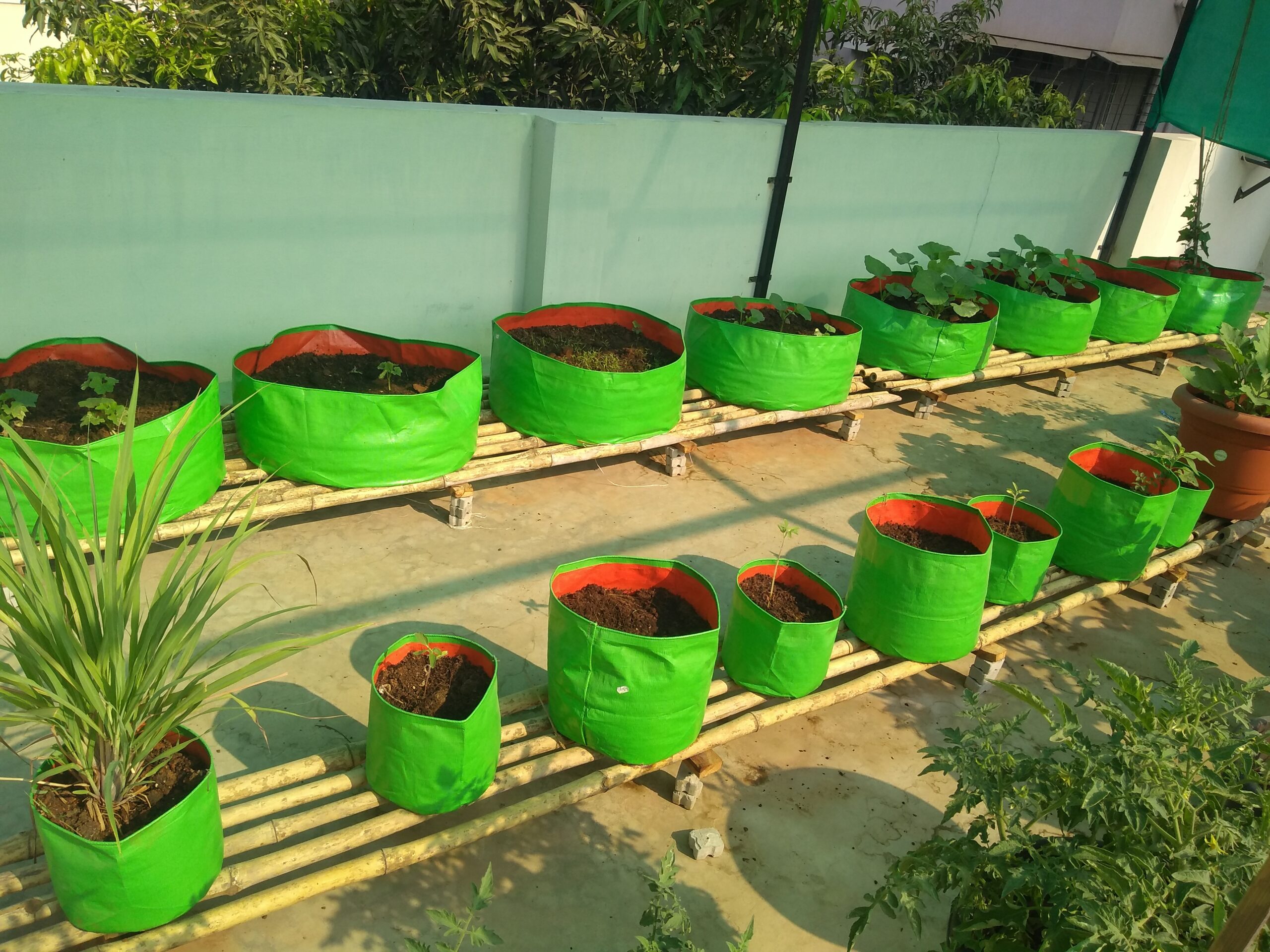 Setup with HDPE Grow Bags