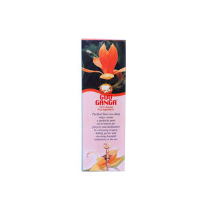Alternative view of Champa Perfume Agarbathis