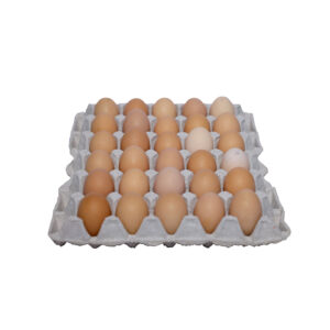 A tray of Nativus Farms Just Brown Eggs organized neatly for delivery.