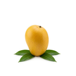 A basket of large, golden-yellow Himayat Mangoes ripened naturally in straw grass.